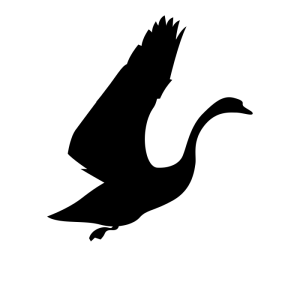 created by Pavel N. from Noun Project